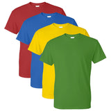 Rogiet School PE T-Shirt in House Colours